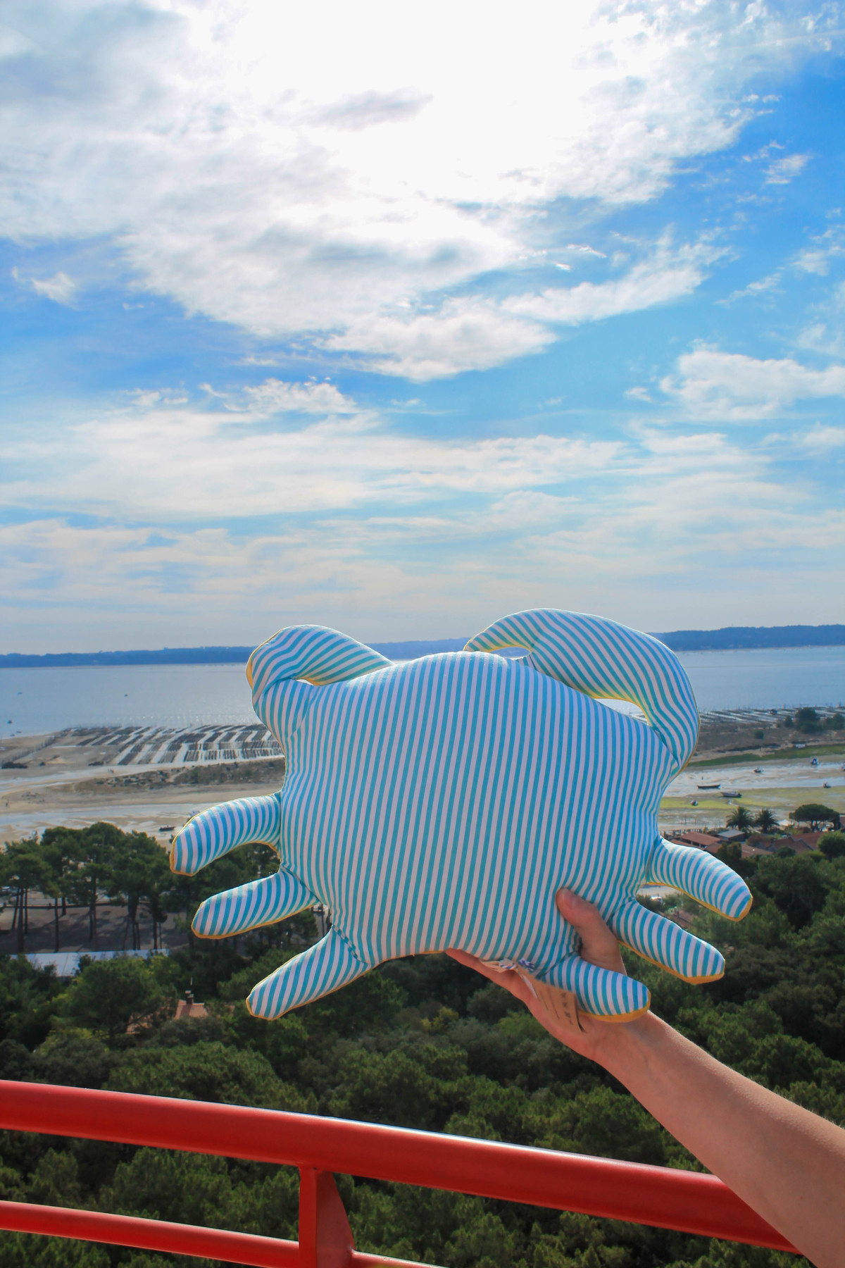 Ohé petits moussaillons ! Vous cherchez un compagnon de bord ?

Nos peluches sont de véritables gardiens tout doux pour accompagner les jeunes marins dans leurs aventures. 
Elles résistent aux tempêtes de câlins et aux grandes marées d'affection.