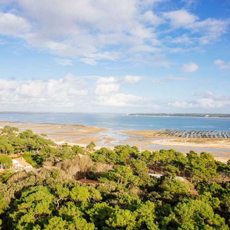 258 marches, 57 mètres d’altitude… 
La récompense : une vue spectaculaire à 360° sur l’océan et le Bassin.
