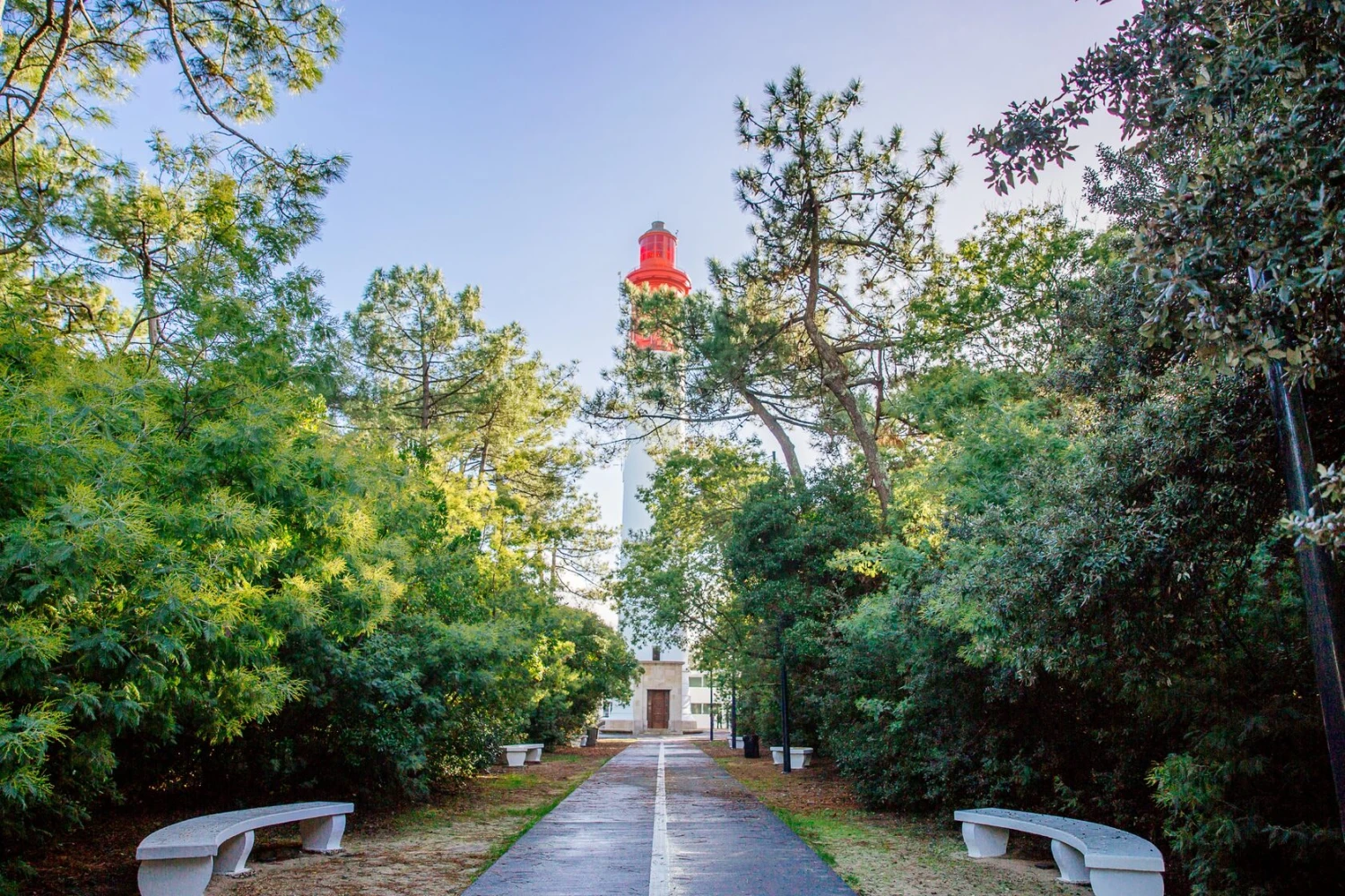 Allée centrale menant à l'entrée du Phare du Cap Ferret encadrée par les pins et arbustes méditerranéens - Accès au monument historique classé